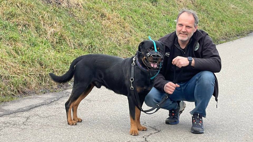 Animal shelter manager Ralf Peßmann trains vicious dogs