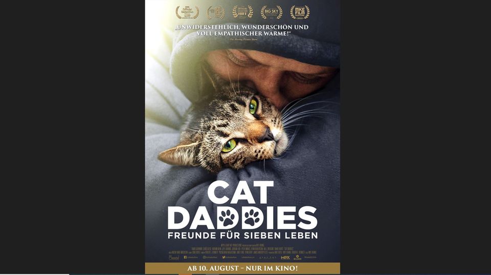 Das Plakat zum Film "Cat Daddies – Freunde für sieben Leben"