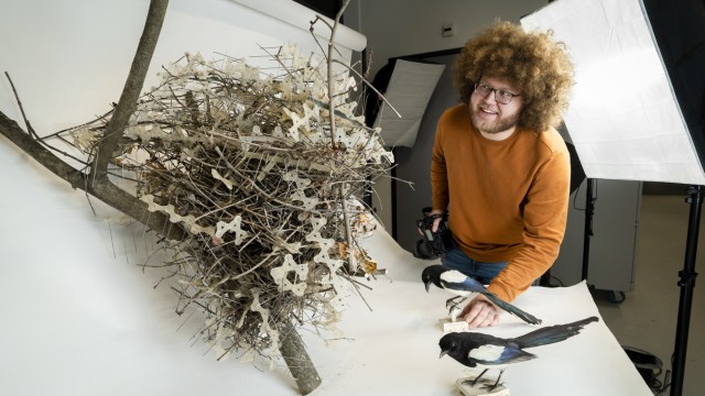 Animals: nest researcher Auke-Florian Hiemstra with one of his research objects.