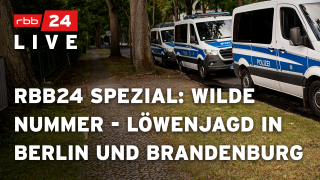 rbb24 spezial: wilde nummer - Löwenjagd in Berlin und Brandenburg (Quelle: rbb)