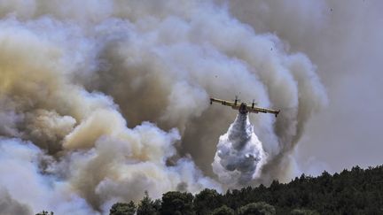 A Canadair aircraft fights a fire in northern Athens (Greece), July 19, 2023. (SPYROS BAKALIS / AFP)
