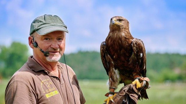 Leisure: In the wildlife leisure park in Oberreith, the skills of a falconer can also be admired from time to time.