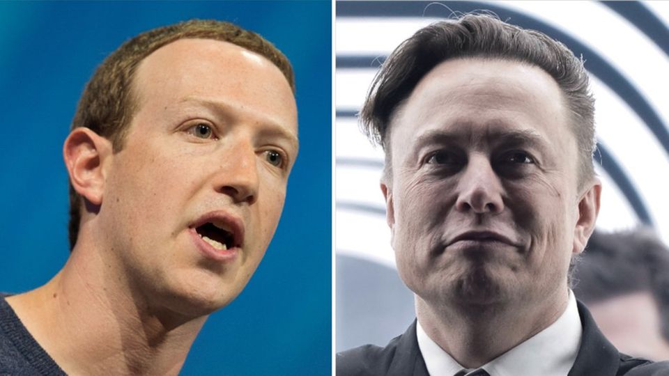 Mark Zuckerberg (left) and Elon Musk: Will the tech billionaires really fight in cages?