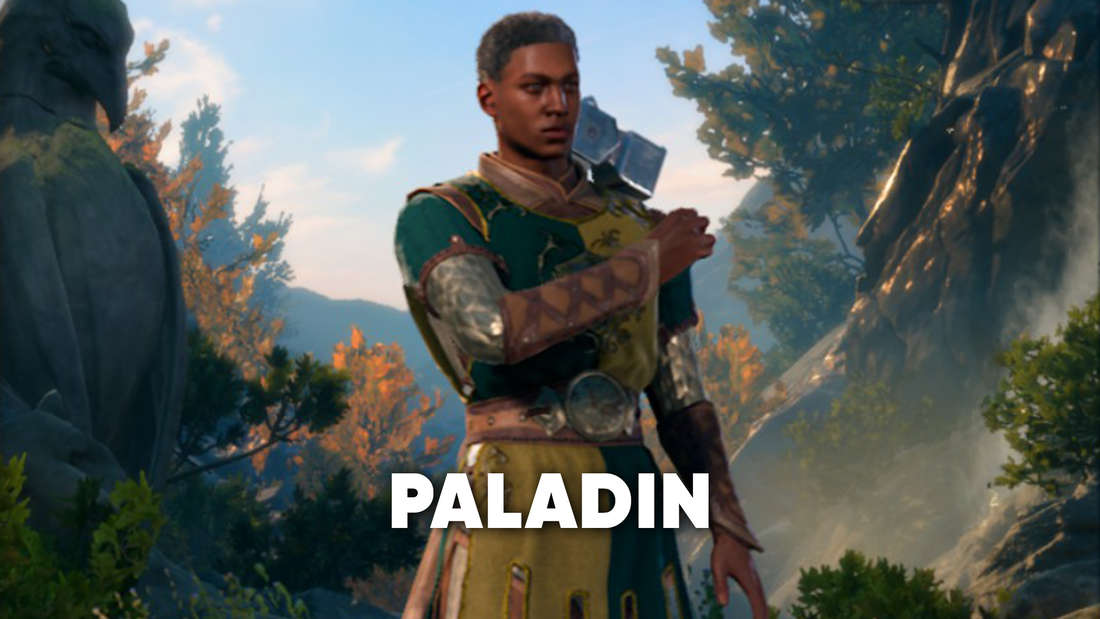 Paladin class in Baldur's Gate 3