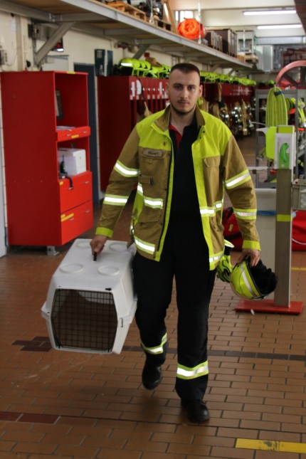 Wild animals in Munich: fire brigade equipment manager Nikola Snjaric picked up the animals from the family.