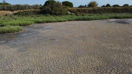 A dry lake in La Grande-Motte (Hérault), July 21, 2023. (MOHAMAD ALSAYED / AGENCE ANADOLU / AFP)