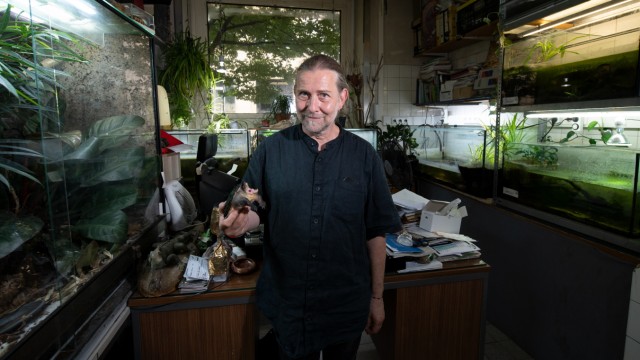 Animal welfare: Lots to do: Markus Baur in his office in the reptile sanctuary on Kaulbachstraße.