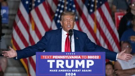 Donald Trump en meeting à Erie, en Pennsylvanie (Etats-Unis), le 29 juillet 2023, dans le cadre de sa campagne pour l'élection présidentielle. (JOED VIERA / AFP)