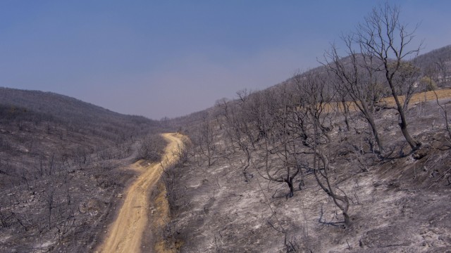 Environmental disaster: Drone footage shows the areas burnt down by the fire of the past few days near Aleandroupoli in north-eastern Greece.