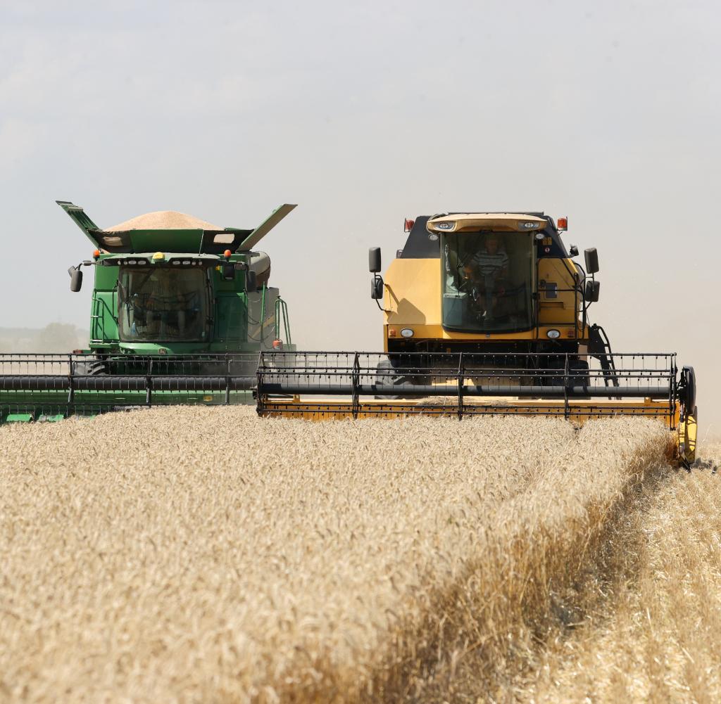 „Wir sind direkte Konkurrenten, und Russland will die Ukraine vom Markt verdrängen und sie so einer wichtigen Einnahmequelle berauben“, sagt ein ukrainischer Agrar-Manager
