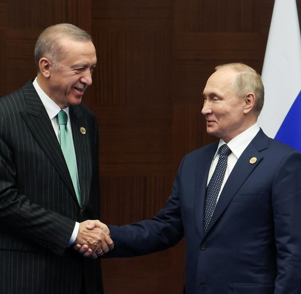 Presidents of Russia and Turkey meet in Astana