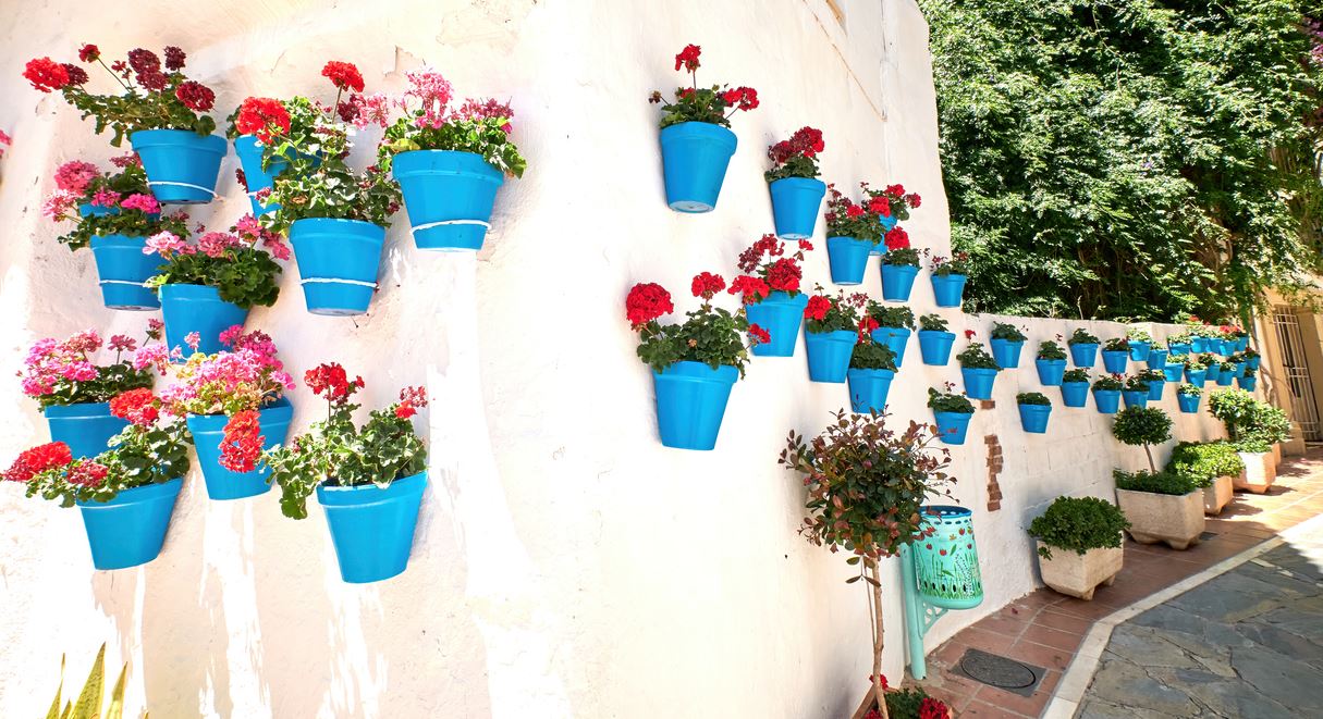 Flower Pots That Conceal The Neighbor's Exterior Wall