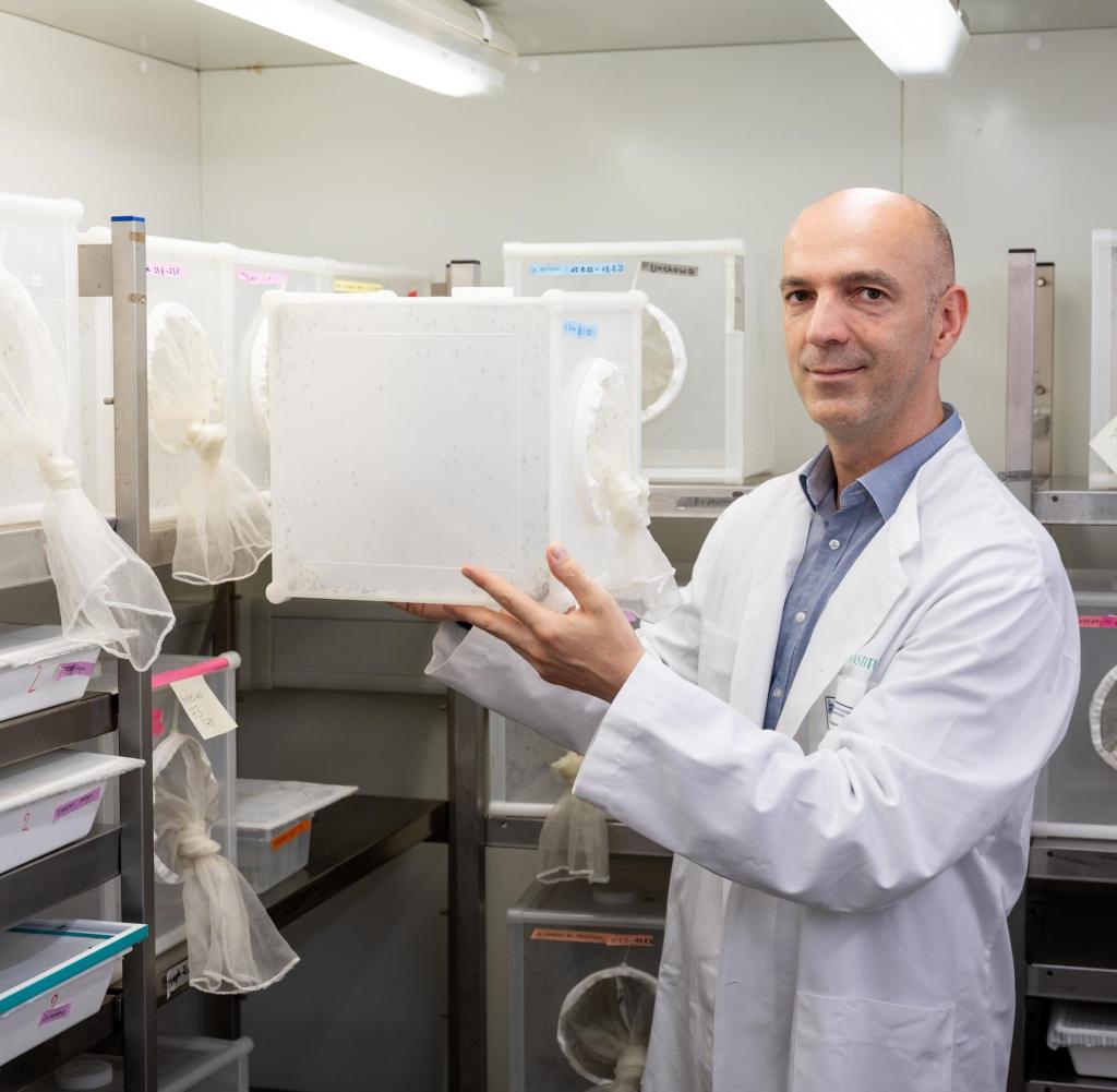 Virologist Jonas Schmidt-Chanasit in his “insectarium”