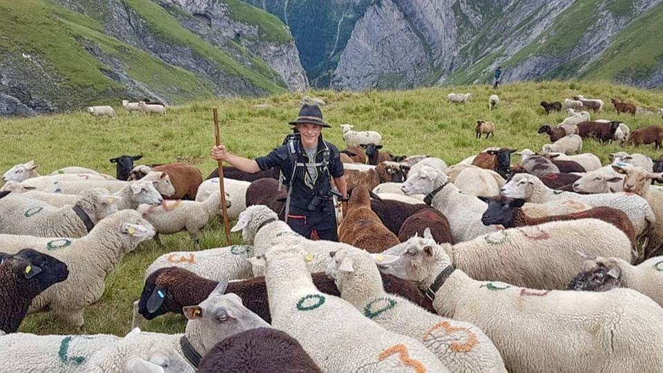 Alone among sheep: Moritz Florian as a shepherd in the Swiss Alps