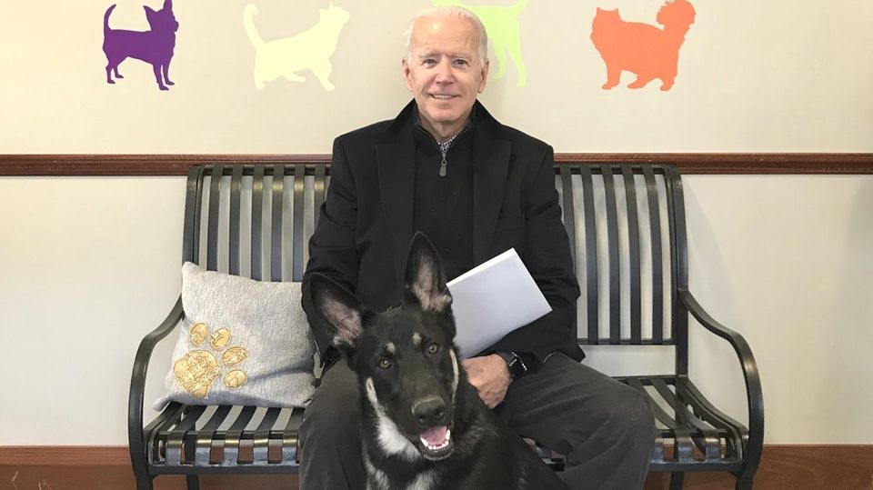 Joe Biden sits on a bench under the logo of an animal protection organization and has a German Shepherd sitting in front of him