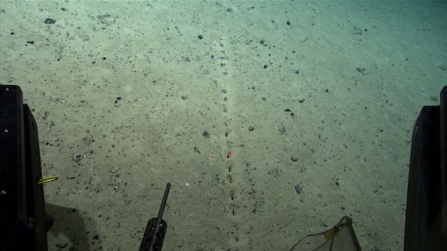 Deep sea: Researchers found this series of holes on the bottom of the Atlantic north of the Azores in 2022.