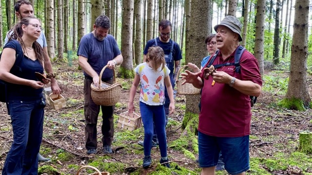Mushroom hike: Everyone listens carefully when Günther Groß (right), the chairman of the Augsburg-Königsbrunn mushroom association, explains what to watch out for when looking for mushrooms.