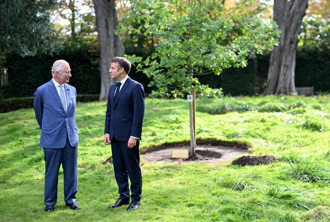 King Charles III and Emmanuel Macron in front of the oak tree they planted in the gardens of the British embassy, ​​in Paris, September 20, 2023.