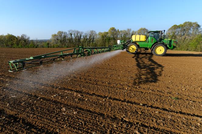 A farmer sprays Roundup 720, a glyphosate-based herbicide manufactured by agrochemical giant Monsanto, in a corn field in Piacé (Sarthe), in April 2021.