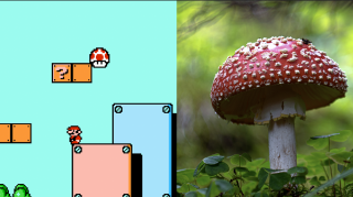 Mario's iconic mushroom and the fly agaric.