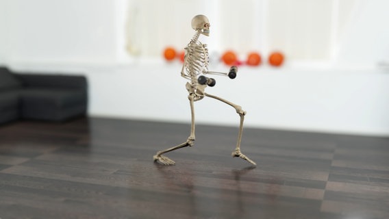 Schematic representation: running skeleton with dumbbells in hand.  © NDR 