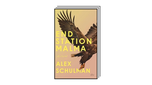 Books of the Month for October: Alex Schulman: Malma.  Novel.  Translated from Swedish by Hanna Granz.  dtv, Munich 2023. 320 pages, 23 euros.