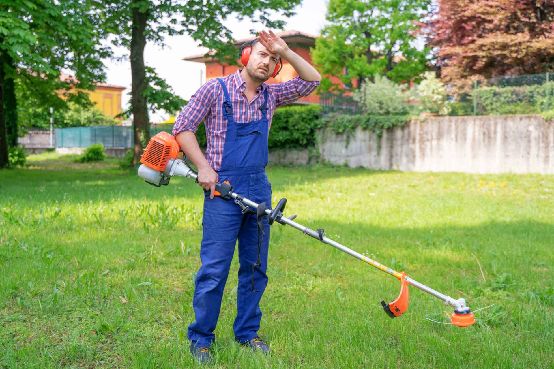 Put an end to lawn mowing