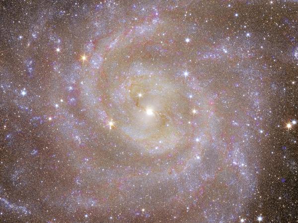 The spiral galaxy IC 342, also known as the “Hidden Galaxy”.  Thanks to infrared vision, Euclid collected information about the stars in this “hidden galaxy.”