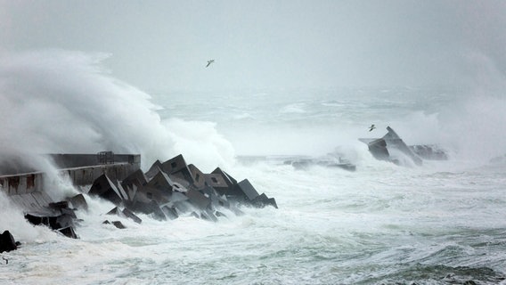 Storm off the coast of Heligoland © picture alliance / Arco Images Photo: H. Marschall
