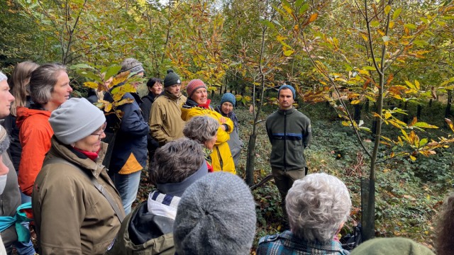 Environment and nature: Markus Stimmelmayer wants to create an open space for women on his forest tours in which they can ask questions and discuss.
