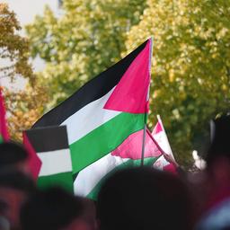 Archive image: Palestine flags are waved at a pro-Palestine demo in Berlin.  (Source: imago images/Geisler)