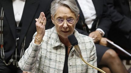 Elisabeth Borne at the National Assembly, in Paris, November 14, 2023. (LUDOVIC MARIN / AFP)