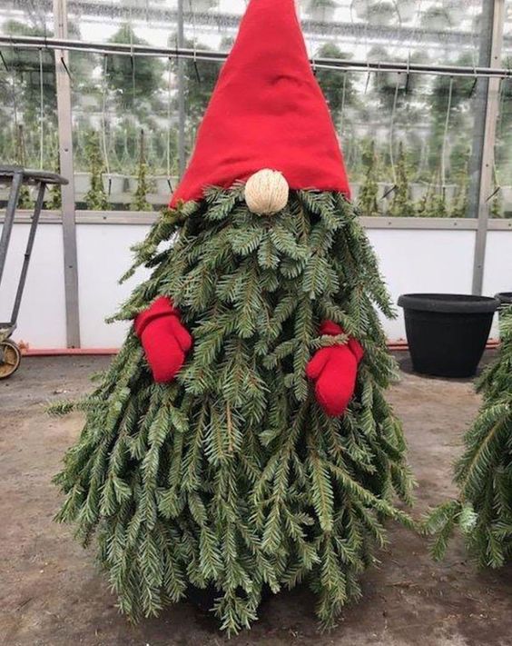 A Tree Transformed into a Christmas Gnome 