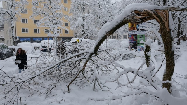 Der Schnee-Rekord und die Folgen: Viele Bäume hielten der Schneelast nicht stand. Feuerwehr und Polizei hatten reichlich zu tun.