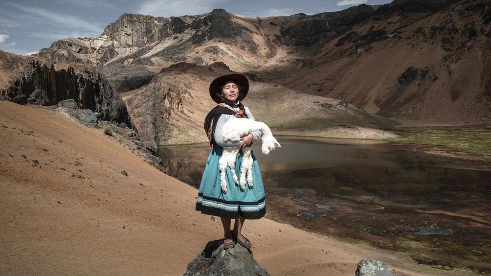 A woman stands in the Peruvian Andes with an alpaca in her arms