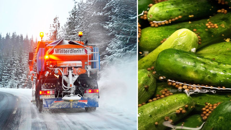 Curious: Bavaria is testing cucumber water as a substitute for road salt