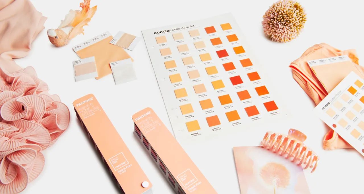 Peach Fuzz Pantone Color of the Year 2024 