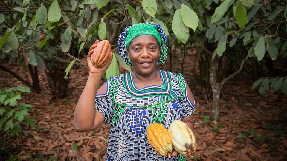 A farmer with a cocoa fruit.  The new law requires German companies to control their supply chains right down to the raw materials in the countries of origin