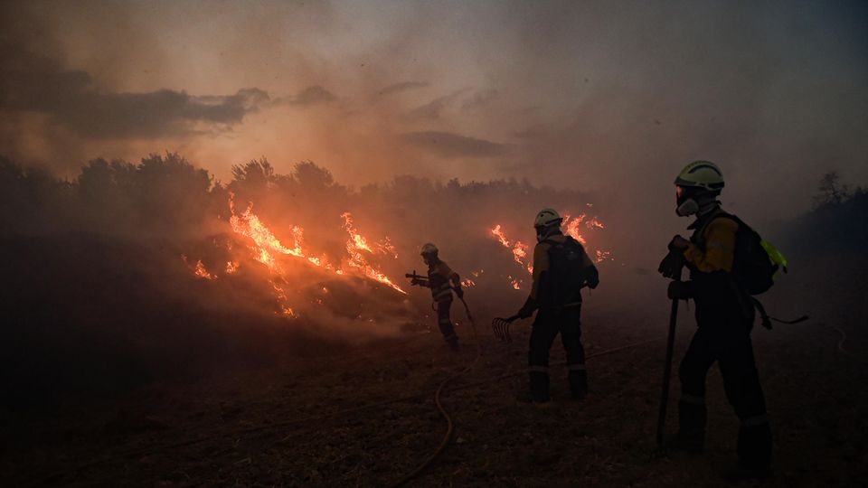 Feuerwehrleute versuchen einen Waldbrand in der Nähe von Mendigorria in Spanien unter Konrtolle zu bringen.