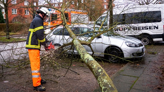 Ein Feuerwehrmann zersägt im Hamburger Stadtteil Neuallermöhe einen Baum, der bei einem Sturm auf ein Auto gefallen ist. © picture alliance / dpa Foto: Daniel Bockwoldt
