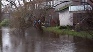 Gärten von Häusern in Horneburg sind überschwemmt. © Hellwig TV Elbnews Produktion 