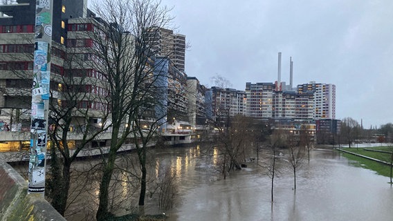 Eine Wiese neben dem Ihme-Zentrum in Hannover ist überschwemmt. © NDR Foto: Josy Wübben