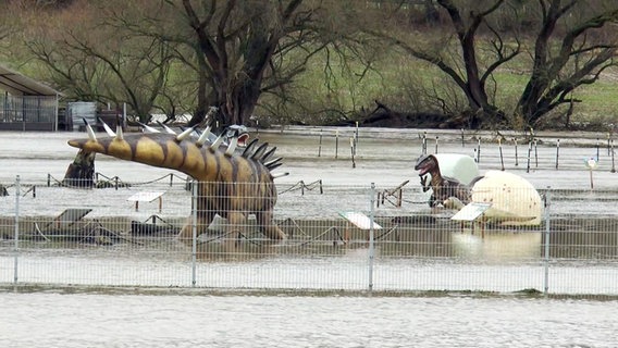 Ein Dinosaurier-Park im Landkreis Northeim steht unter Wasser. © NonstopNews 