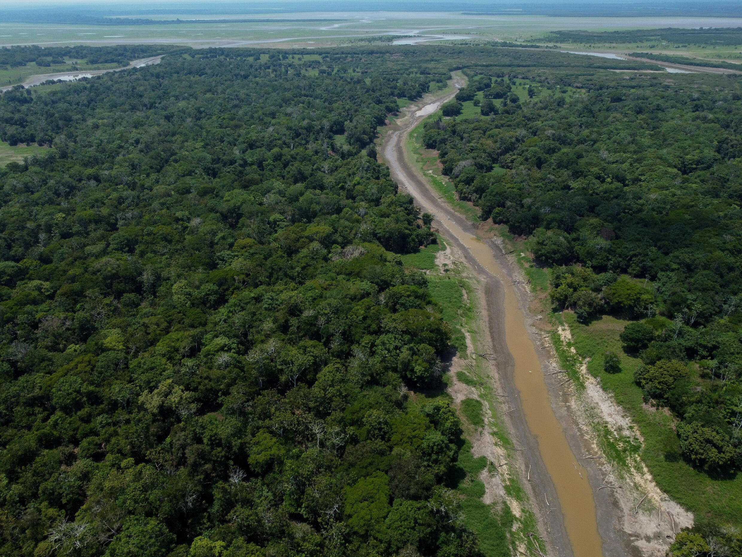 Deforestation in the Amazon decreased by 22.3% in one year in 2023 to reach its lowest level in five years.