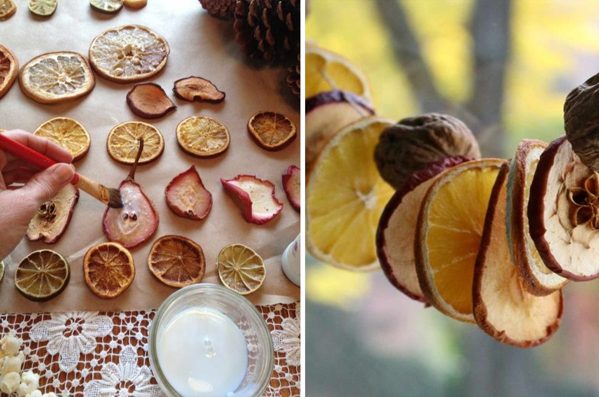 Christmas Garland Made of Dried Fruits