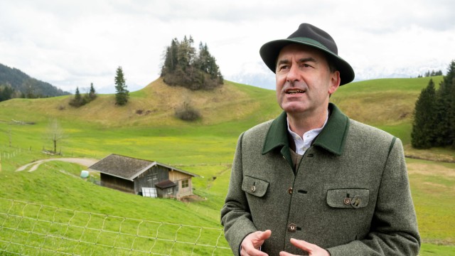 Species protection: Economics Minister Hubert Aiwanger in April on an alpine pasture near Oberaudorf.  At that time he was not yet responsible for hunting in Bavaria.