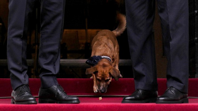 Erdoğan in Athens: Mitsotakis' dog was allowed into the picture when the Turkish guest arrived.