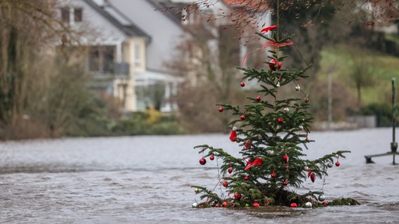 Ein geschmückter Weihnachtsbaum ragt aus dem Hochwasser der Weser in Achim-Baden. © dpa 