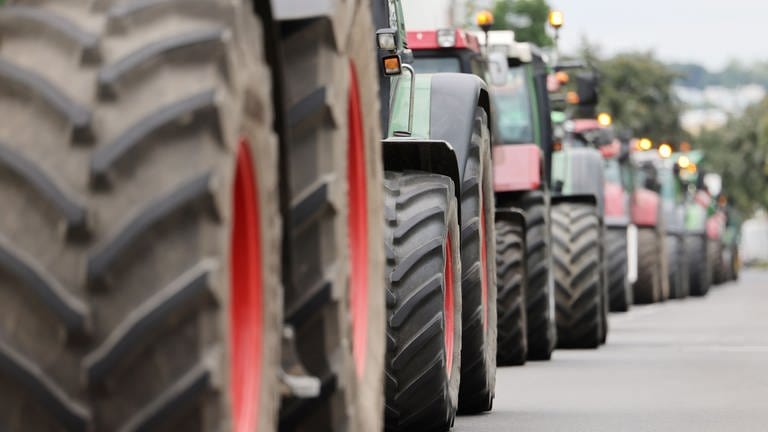 Farmers drive their tractors on a road in a column.  Apparently the plan is to block streets in RLP on January 8th.  (Photo: dpa Bildfunk, picture alliance/dpa | Oliver Berg)