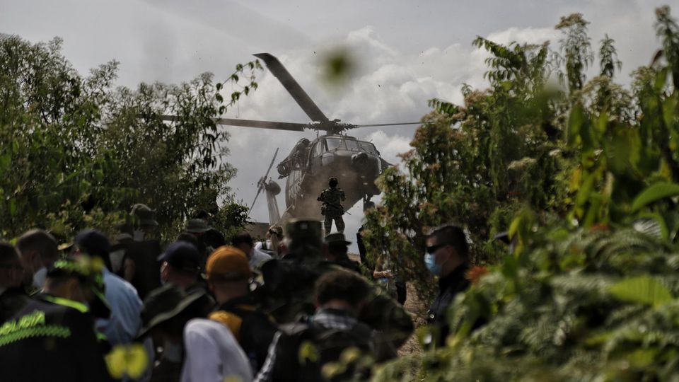 Colombian soldiers are deployed on coca plantations